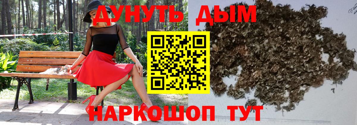 Каннабис индика  Вход с VPN  Гусиноозёрск  Конопля конопля 